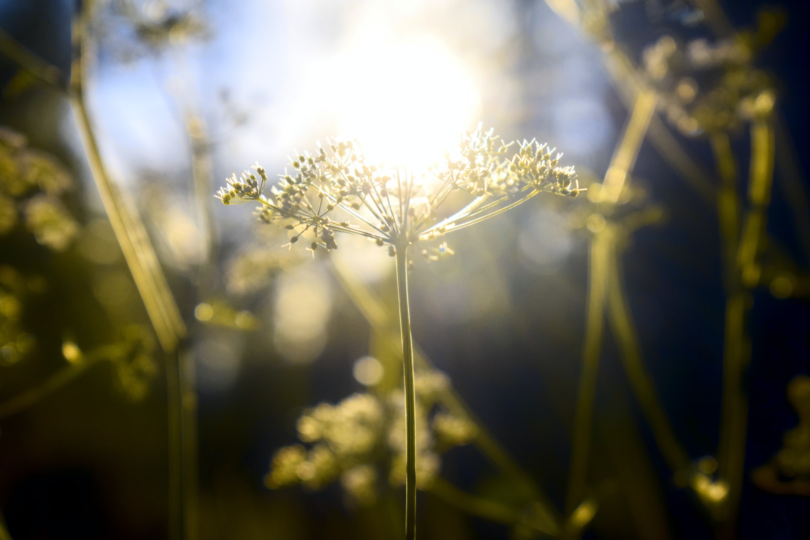 angelic healing sessions